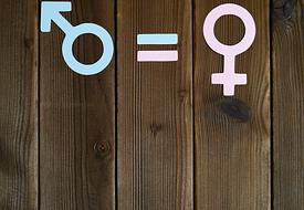 Módulo Módulo en Sensibilización en Igualdad de Género - Imagen