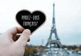 Módulo Francés Smart Online + VC_II - Imagen